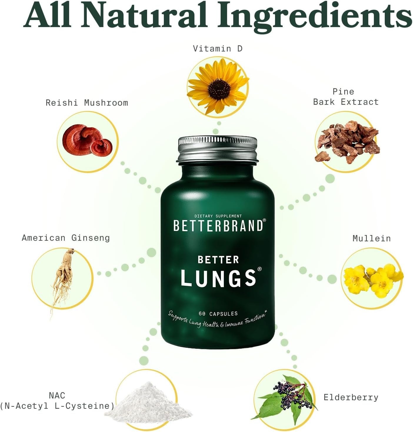 Betterbrand Mullein Leaf Extract for Lungs – Lung Support with Elderberry, Vitamin D, Ginseng & Reishi – Healthy Flow Cleanse & Immune Support– 60 Capsules