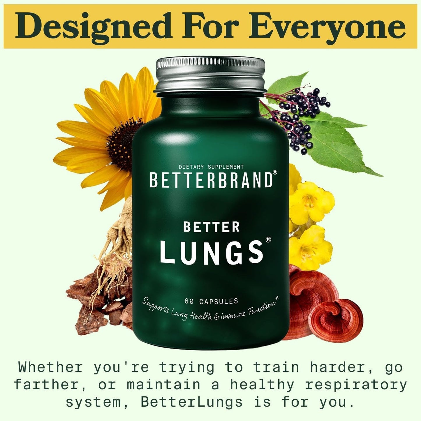Betterbrand Mullein Leaf Extract for Lungs – Lung Support with Elderberry, Vitamin D, Ginseng & Reishi – Healthy Flow Cleanse & Immune Support– 60 Capsules